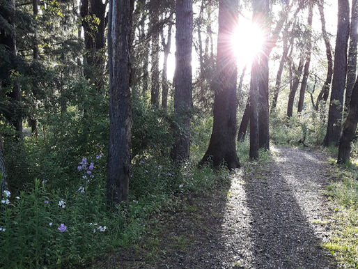 National Trails Day