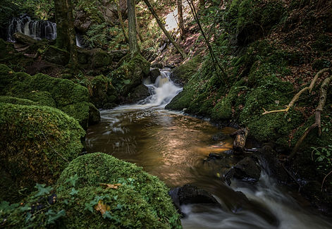 DSC_3117.jpg