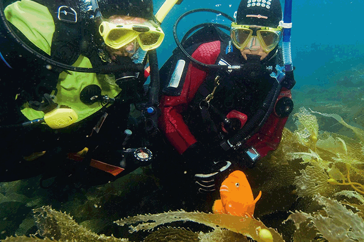 Dry Suit.gif