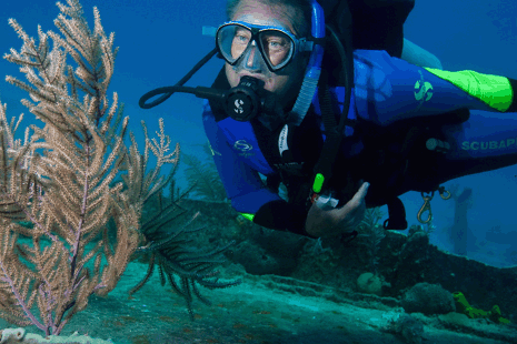 Underwater Naturalist.gif