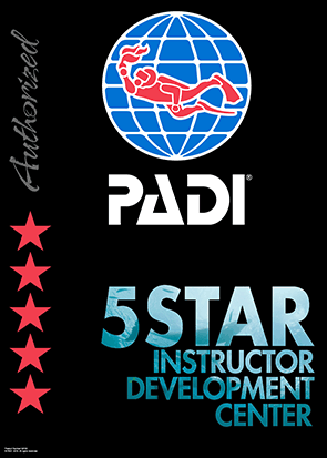 5 Star IDC Logo.gif