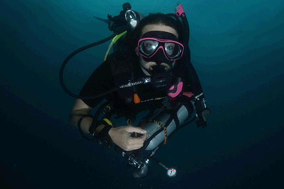 Self-reliant Diver.gif