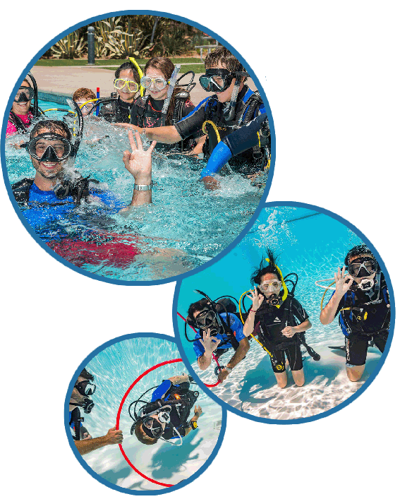 Education Brochure Cover Bubbles Small.g