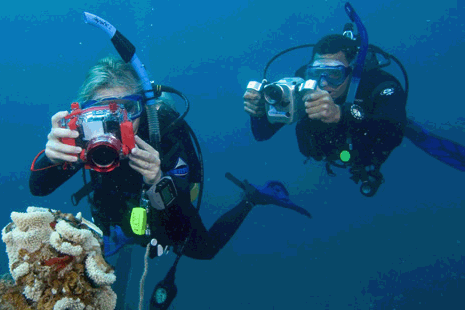 Digital UW Photographer.gif