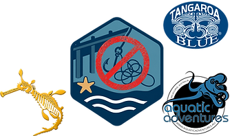 Sea Clear Collab Logo.png