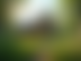 Nachhaltige Autarke Häuser für ein besseres Leben