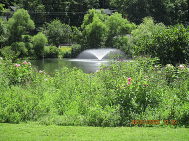Riparian buffer Burnham Park NJ BPA