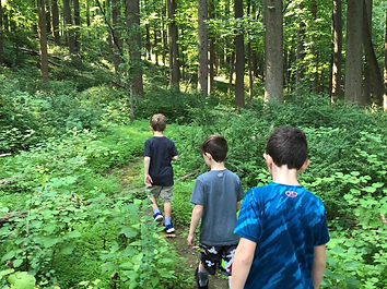3Boys email 2019-08.jpg