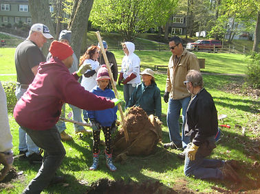 tree planting BPA 2019 Arobor Day.jpg