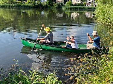 goose management rowing island BPA