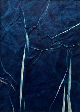 cyanotype
