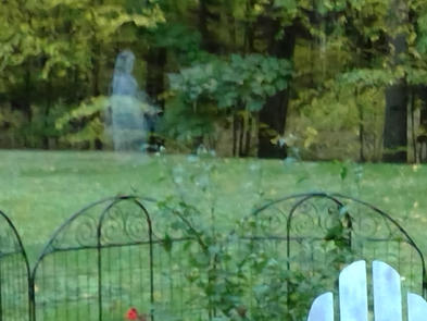 Ghosts