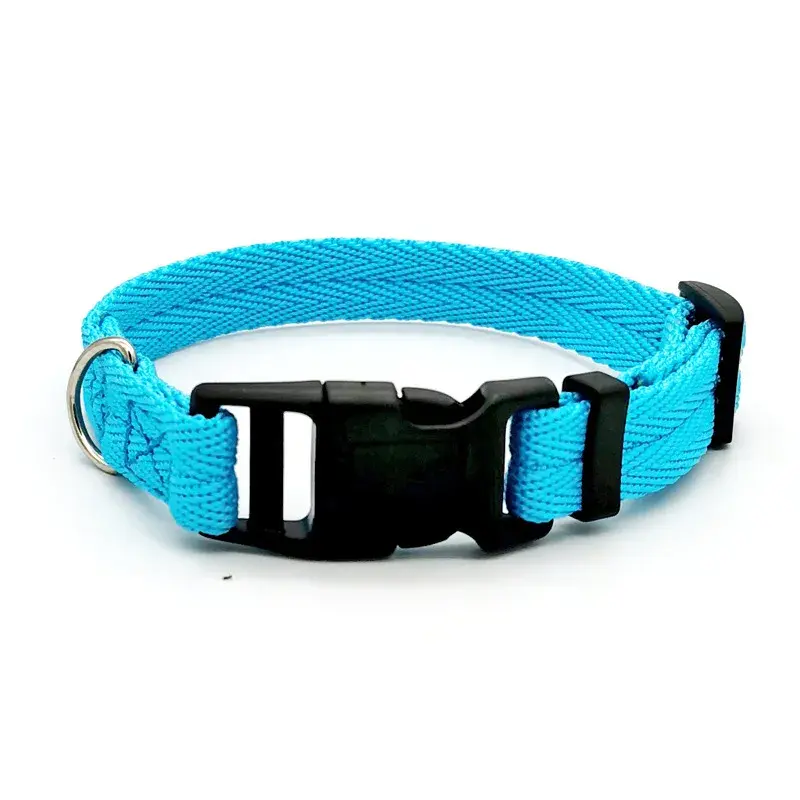 Thumbnail: Pet Dog Collar Teddy Bichon
