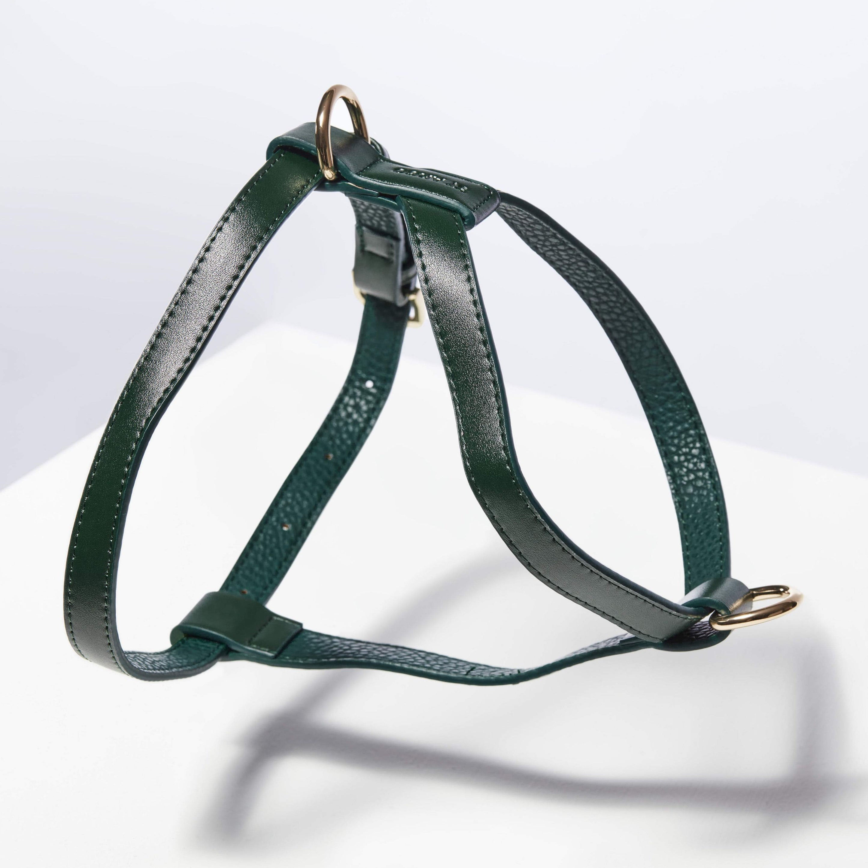 ST ARGO - Harness (Bottle Green)