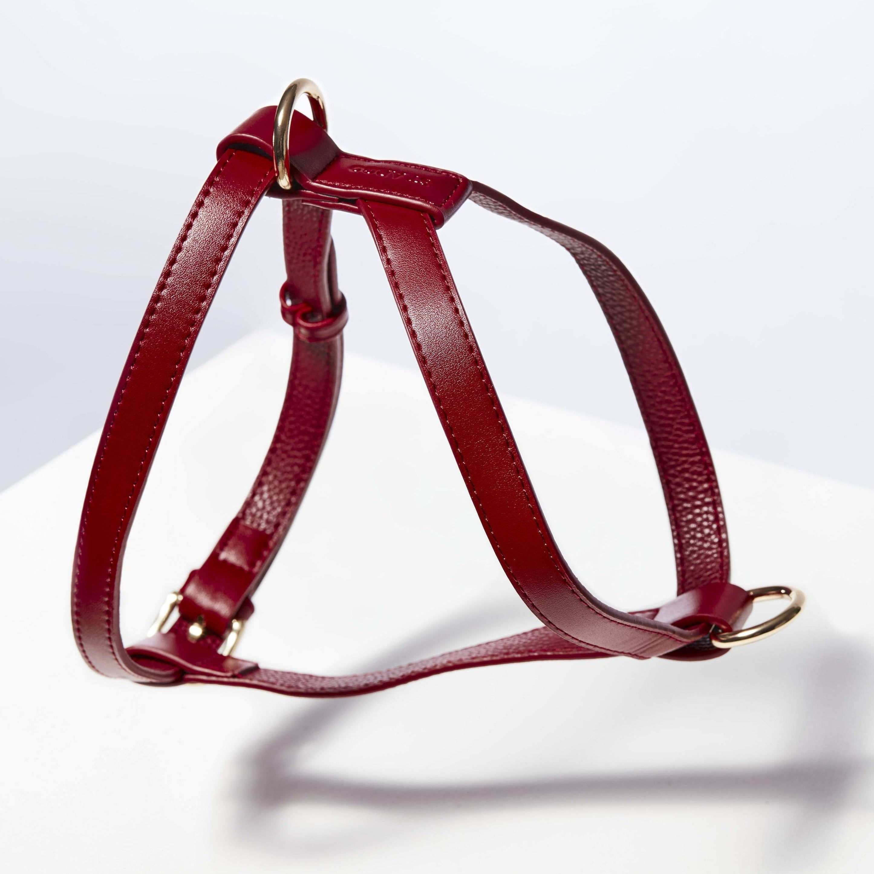 ST ARGO - Harness (Ruby Red)