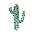 Paucek and Lage.png