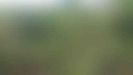 Vía totalmente cerrada hacia el corregimiento de arauca en caldas