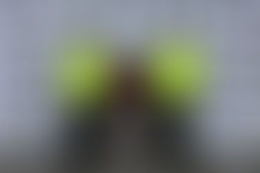 EL “PITUFO” YA NO ROBARA MÁS EN LA ZONA RURAL Y URBANA DE MANIZALES