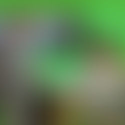 Precandidata presidencial Martha lucia Ramirez en entrevista con Carlos Aguirre por telecafé