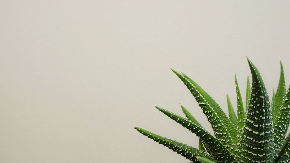 How to Track Keywords Effectively for Your Health and Wellness Website