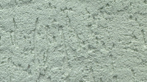 Короїд фракція 2,0 мм.jpg