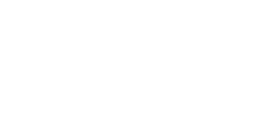 Savvly Logo
