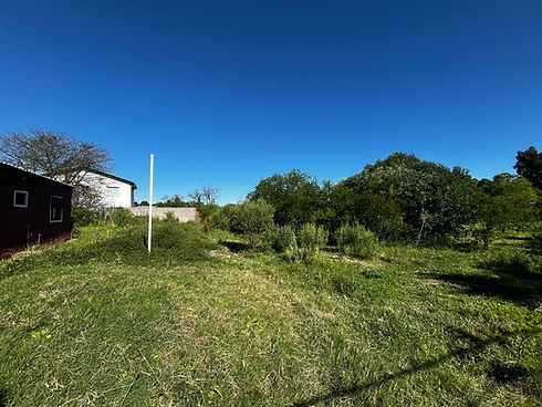 WhatsApp Image 2025-11-14 at 11.56.36 (2).jpeg