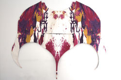 The manta ray shroud