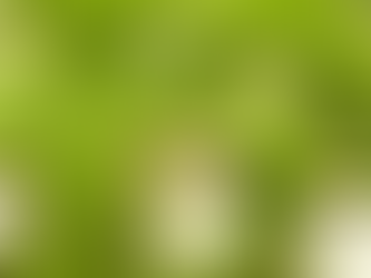 Come in number 7. Your hot tub time is up!