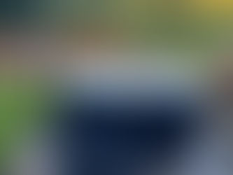 It's February and love is definitely in the air