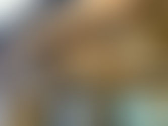 ポルシェ カイエン ルーフライニング張替