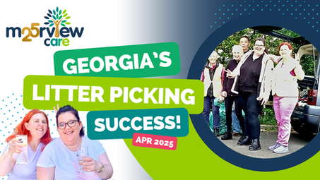 Georgia's Litter Picking Success