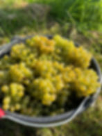 59893d0b-6946-4309-a709-0d41c22a78df