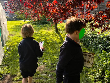 Exploring, Creating and Learning Together