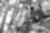 Jack-Peace-Sherco-2_edited.jpg