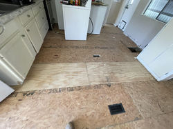 2023_02_16_10_37_IMG_4266