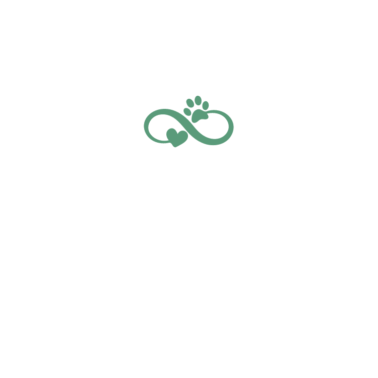Copy of Flick Hawkswood Logo.png