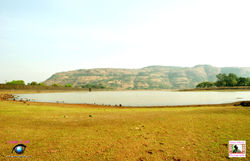 Bhushi Dam, Lonavala