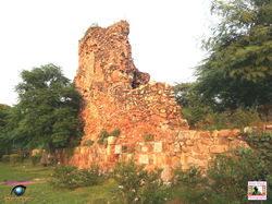 Ruins of Siri Fort