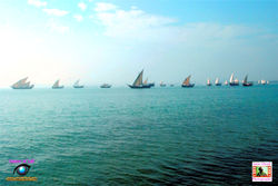 Fishing Dhows at the Dhow Harbour at Corniche
