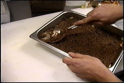 GRAPEVINE FOOD PREPARATION 2 - Copy