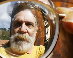 Screenshot 2025-09-14 at 16-05-48 20150611-in-memoriam-carlos-reichenbach-2.webp (imagem W