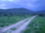 Approaching the Farmstead