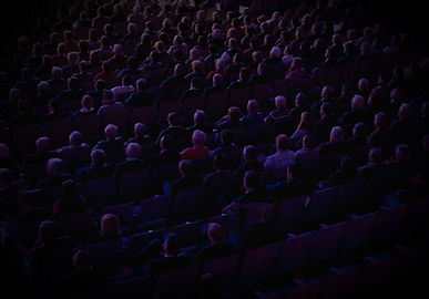 Large Audience_edited.jpg
