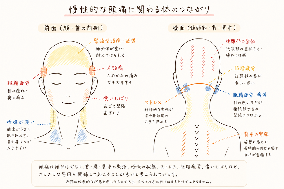 頭痛の症状と首・肩・背中・呼吸・緊張のつながりを示した構造図