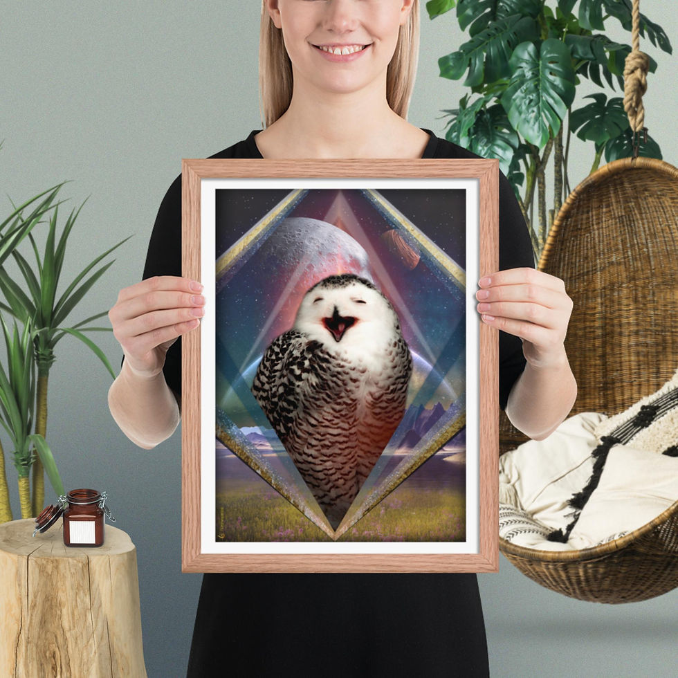 Thumbnail: Framed Poster ~ The Laughing Owl