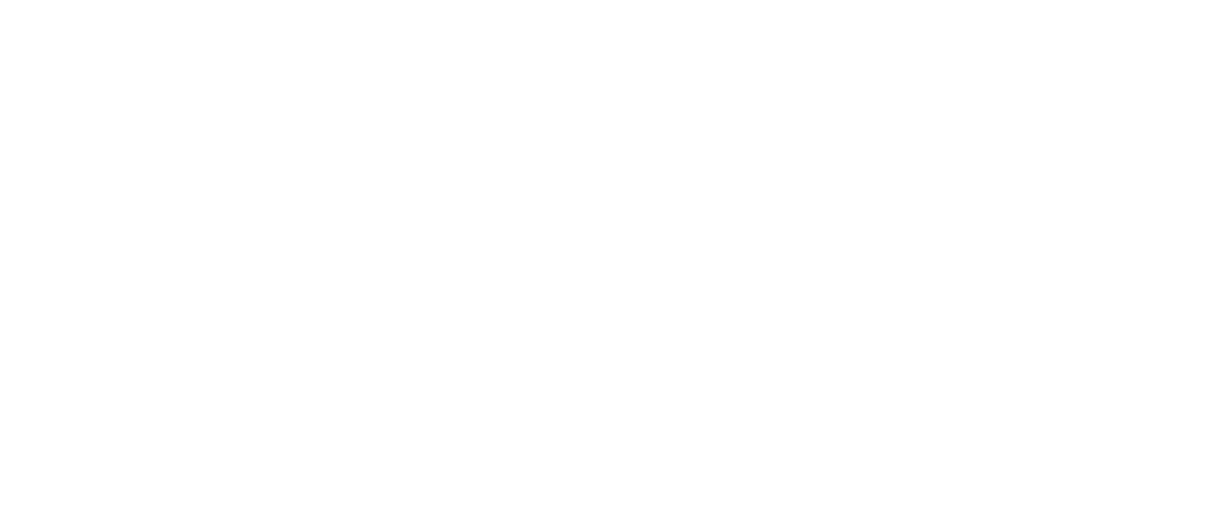 SparkNC_White (1).png