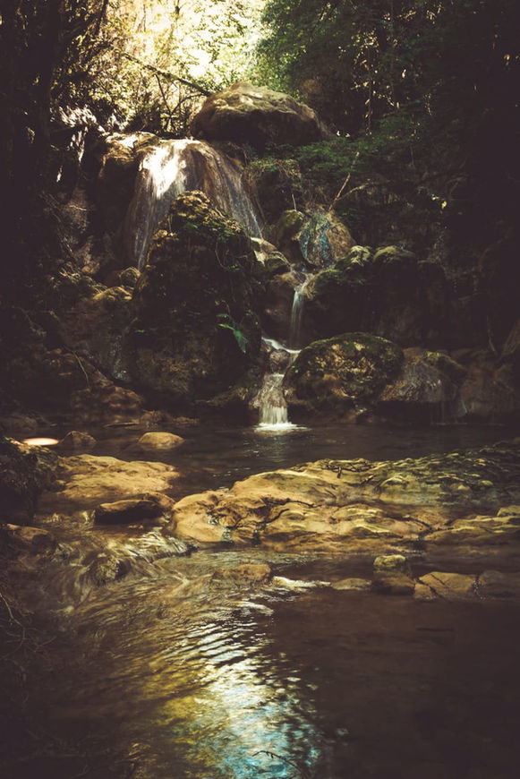 image8.jpeg