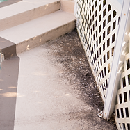 Mildew growth that can be unhealthy for people.