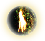 Slyphia Nature Spirit